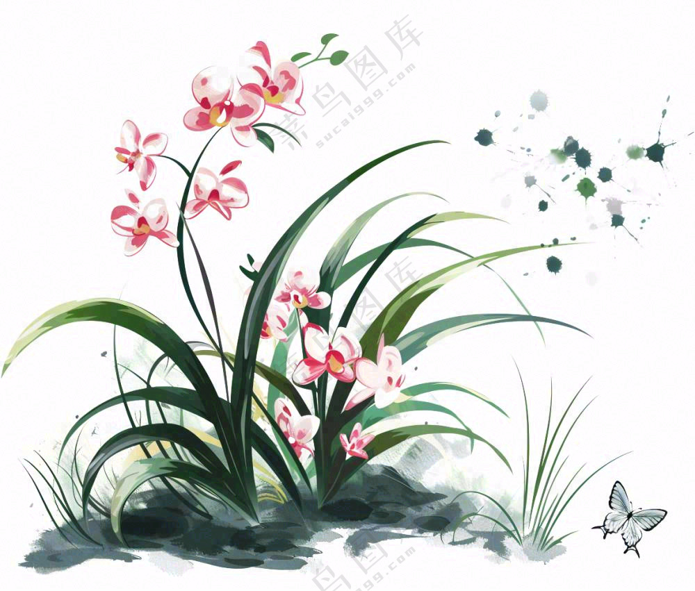 兰花粉色吊兰蝴蝶水墨画插画免抠