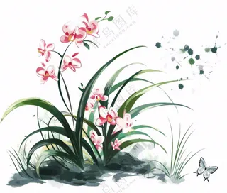 兰花粉色吊兰蝴蝶水墨画插画免抠