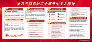 二十届三中全会