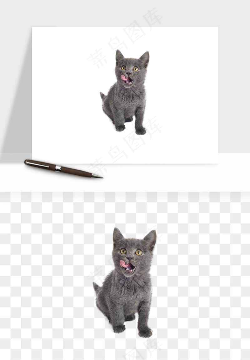 猫咪喵星人狗狗宠物元素png免抠