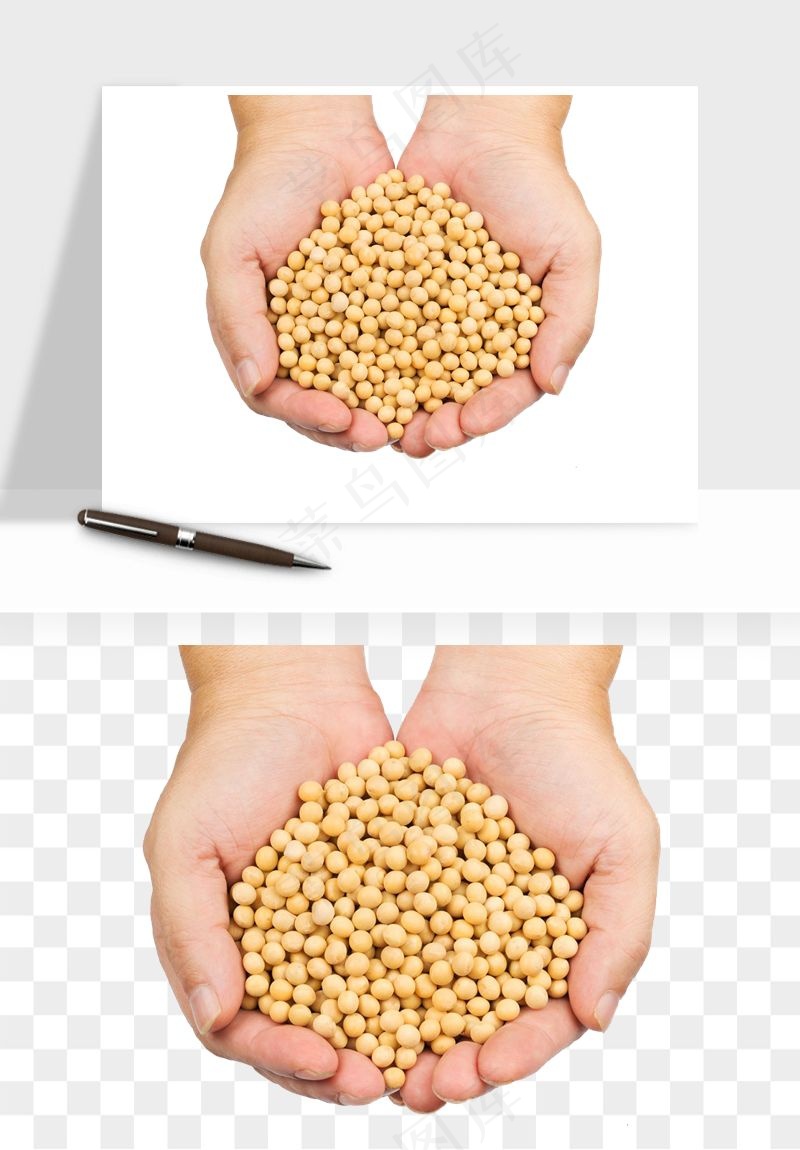 五谷粮食大豆png免抠图
