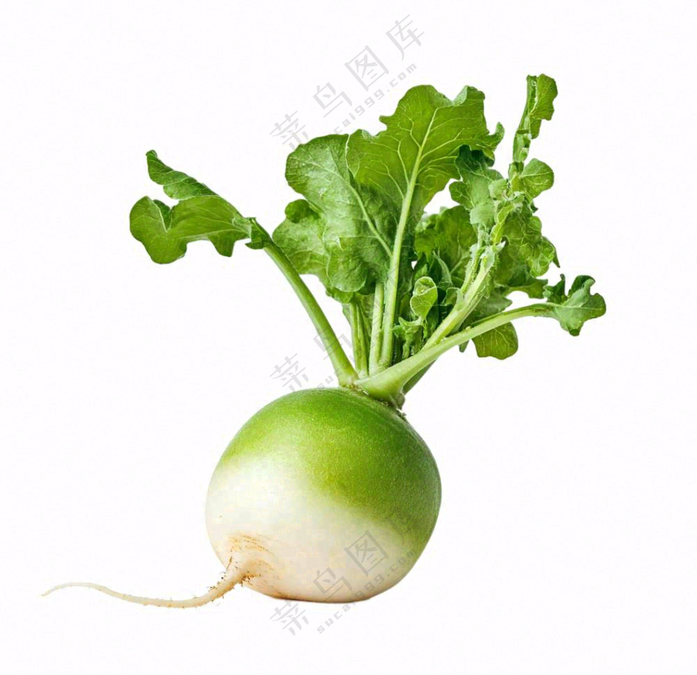 萝卜蔬菜免抠