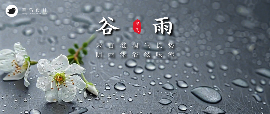 谷雨公众号首图