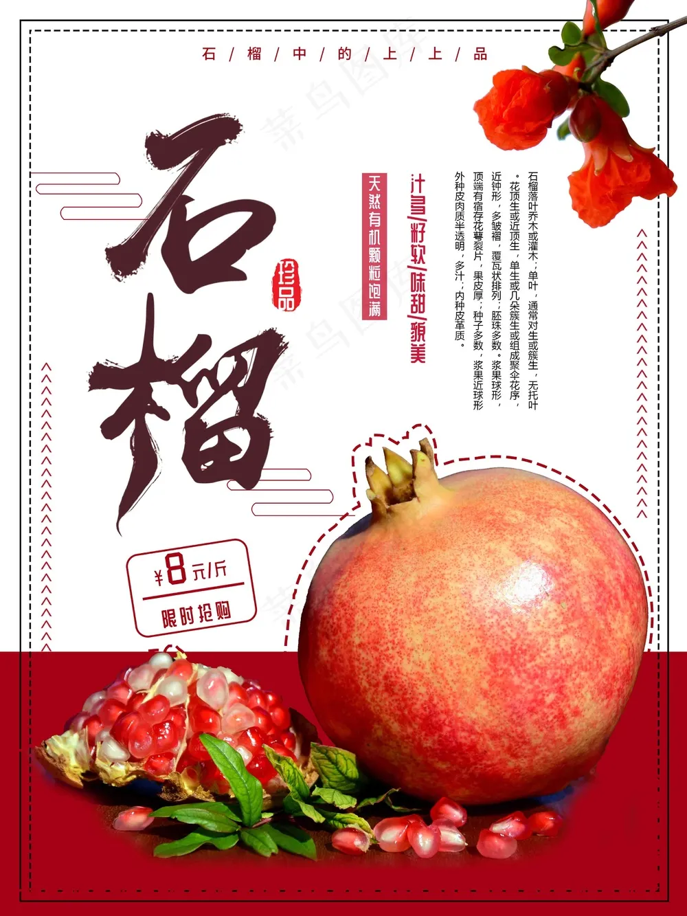 水果石榴海报设计