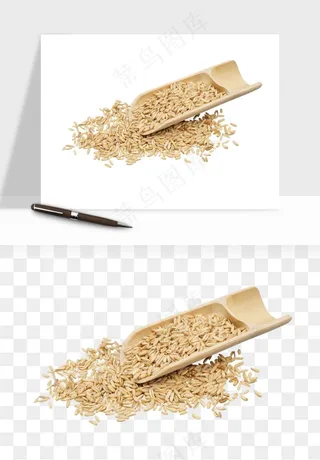 五谷粮食大豆png免抠图