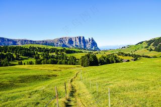 翠绿山谷中的宁静小路