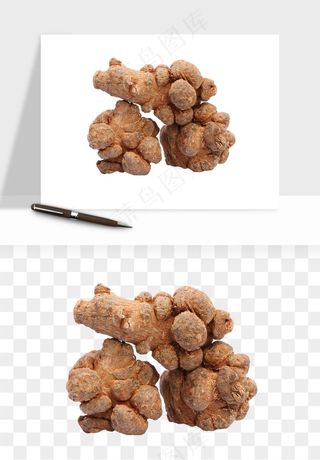 中药养生药材png免抠