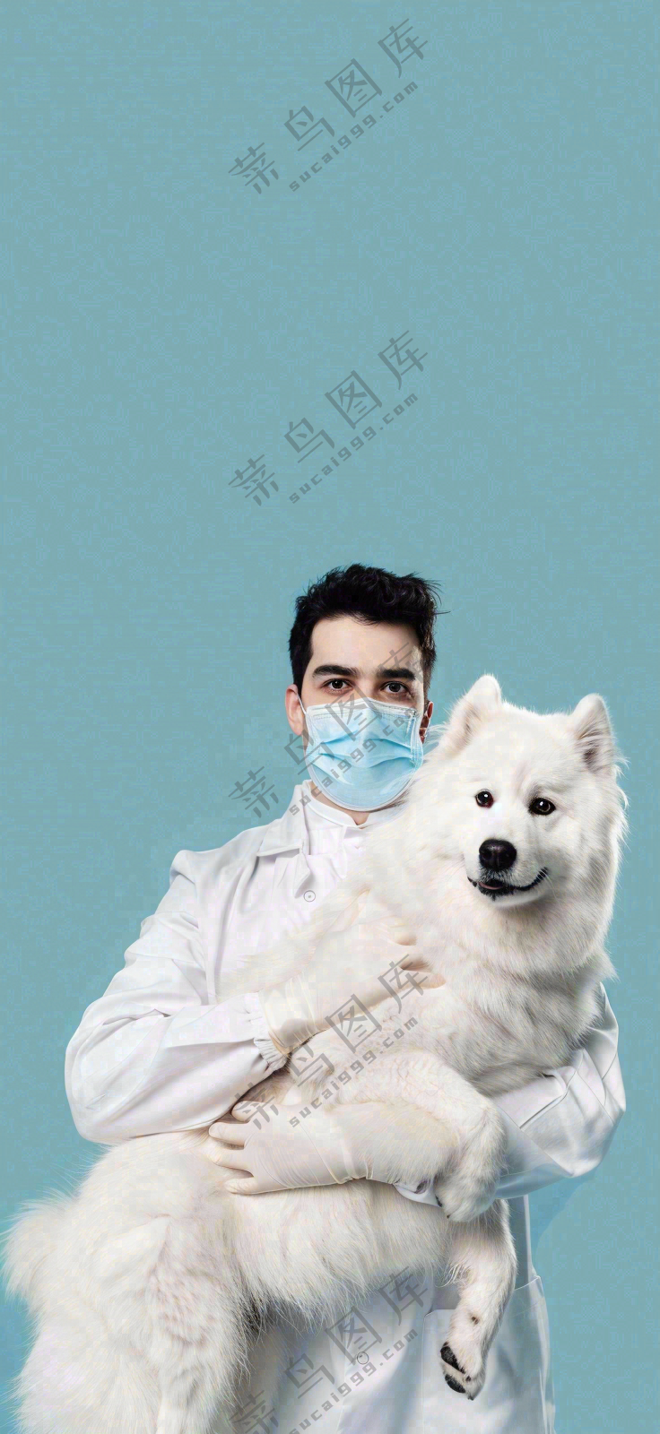 萌宠宠物医院医生抱着狗狗摄影图背景