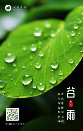 谷雨手机海报