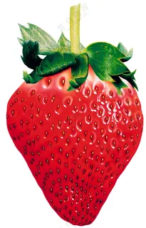 水果草莓图片素材 (10)