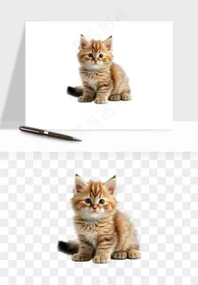 猫咪喵星人狗狗宠物元素png免抠