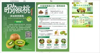 20240913猕猴桃单页、卡片郭洁