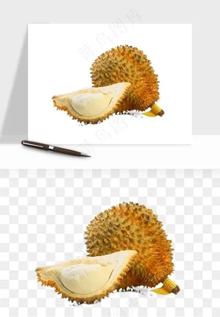 榴莲果肉水果png免抠