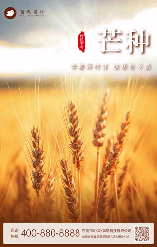 芒种手机海报