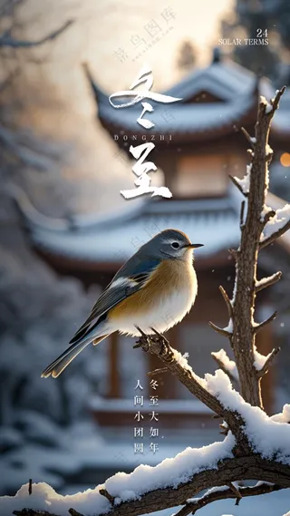 冬至大气简约节气节日唯美海报