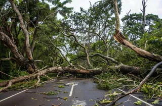 台风预警天气自然灾害