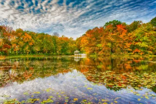 秋日湖畔亭，彩叶映水间