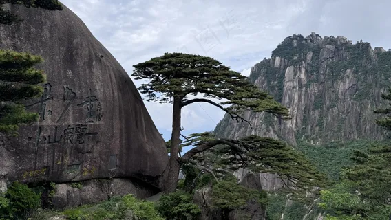 灰绿迎客松，户外旅游海报