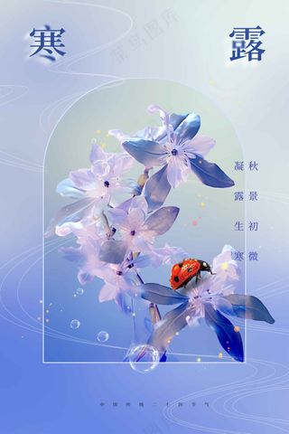 寒露节气传统活动宣传海报