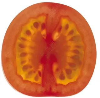 蔬菜切面图片 (8)