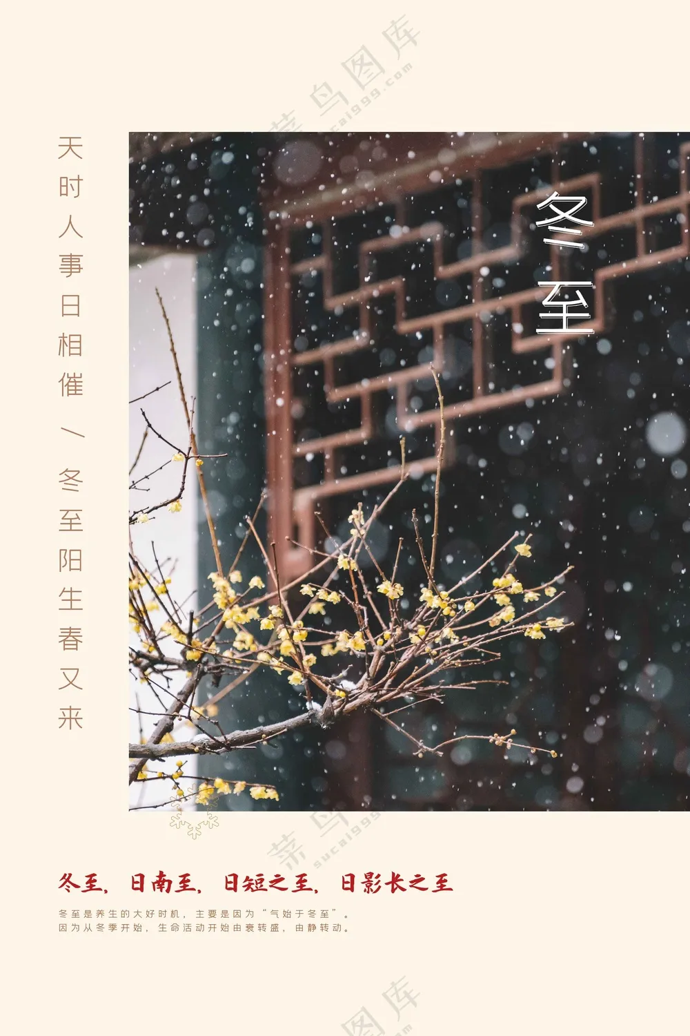 冬至节气传统活动海报