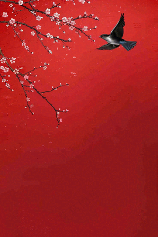 红色墙背景梅花红花鸟情人节七夕小年新年除夕背景