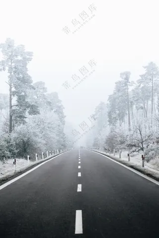 一条被雪覆盖的森林道路