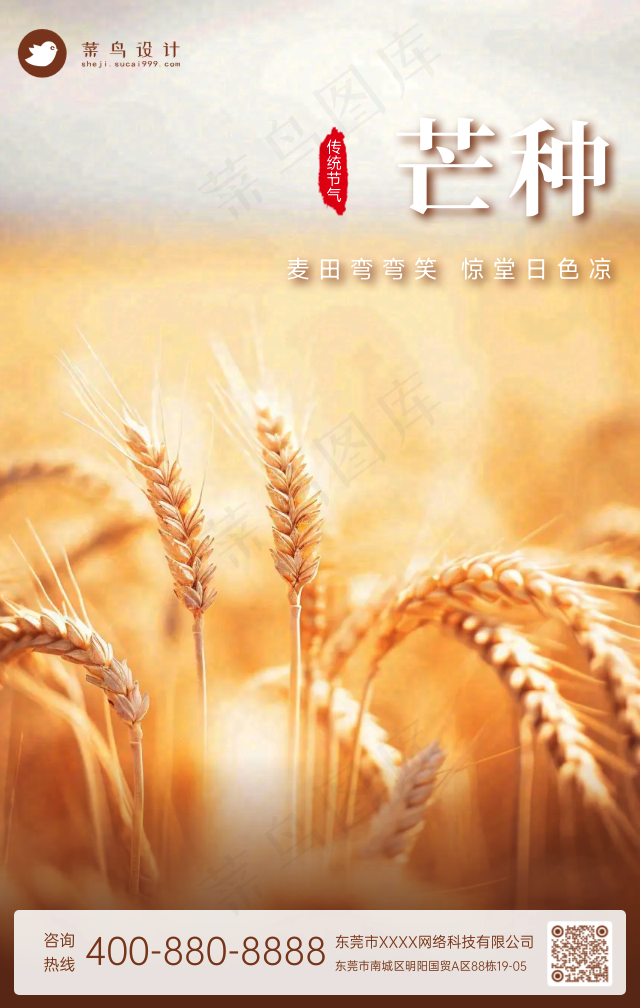 芒种手机海报