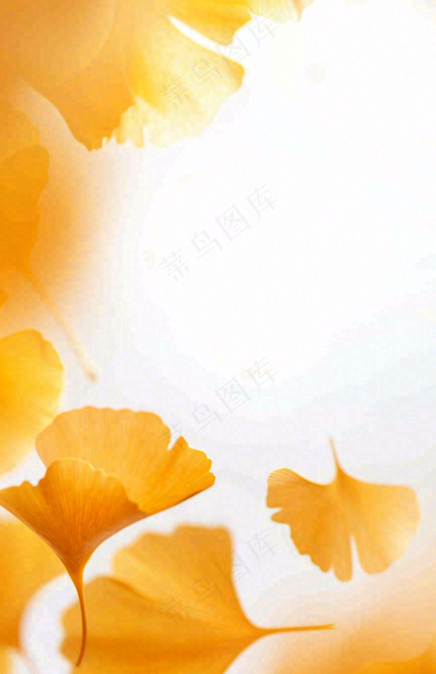 秋天秋分立秋