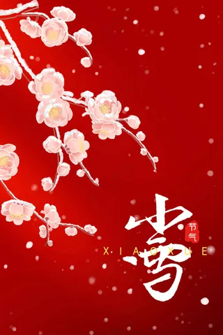 红色插画小雪节气传统海报
