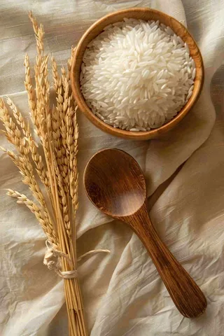 世界粮食日谷物米饭稻谷小麦摄影图