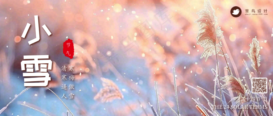 小雪公众号首图