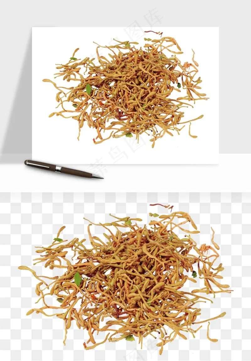 中药养生药材png免抠