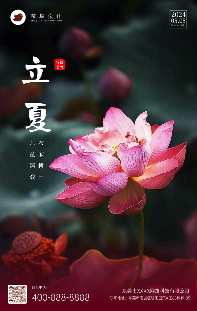 立夏手机海报