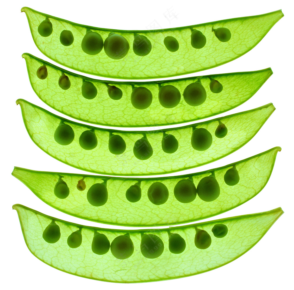 蔬菜切面图片 (20)