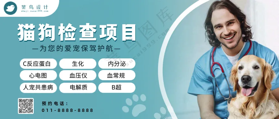 萌宠宠物医院检查项目公众号首图