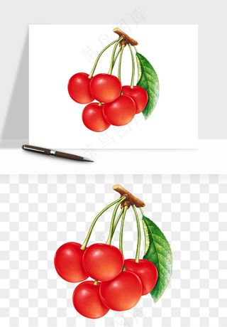 樱桃车厘子水果png免抠