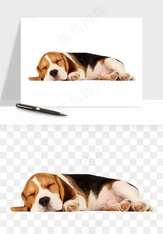 猫咪喵星人狗狗宠物元素png免抠