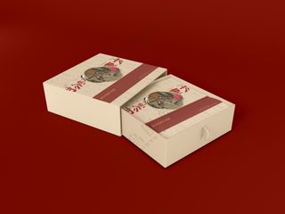 茶叶包装盒 国潮盒子方形盒子 品牌vi样机,