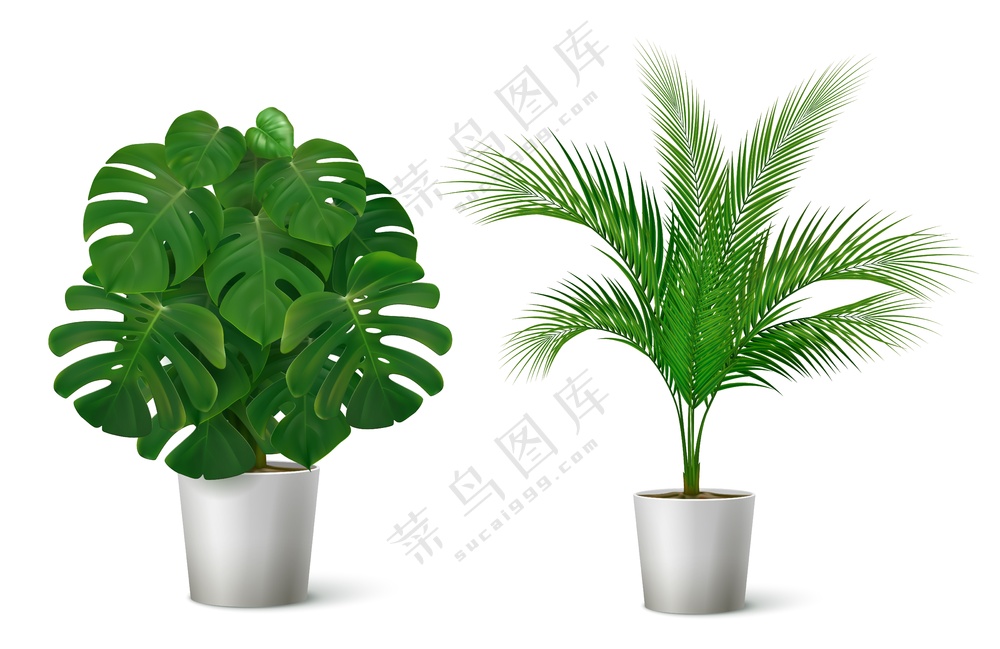 盆栽绿色植物素材