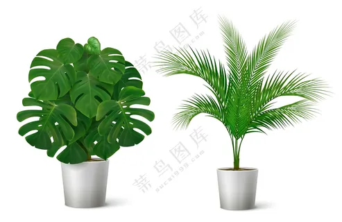 盆栽绿色植物素材 盆栽绿色植物素材