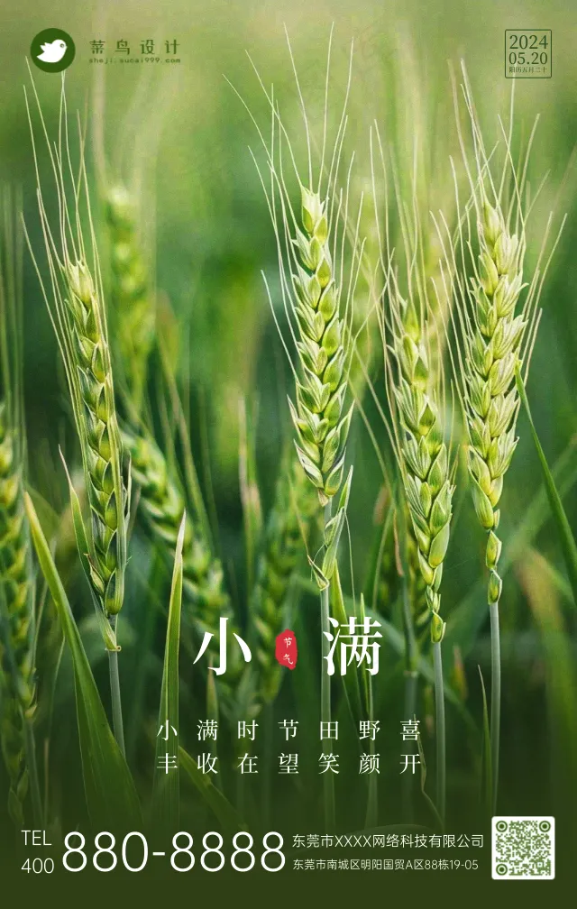 小满手机海报