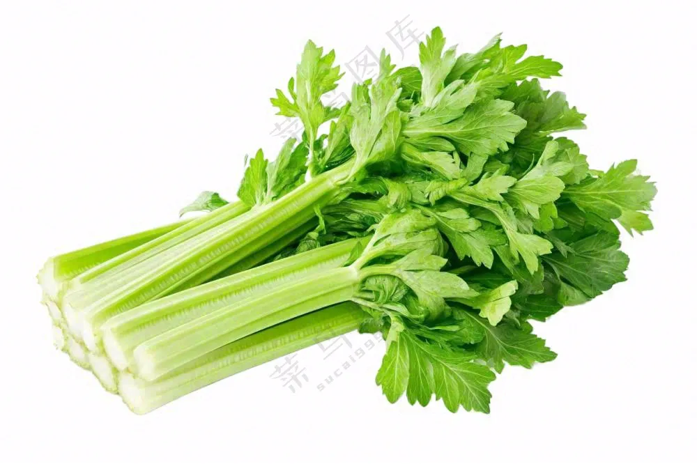芹菜蔬菜免抠