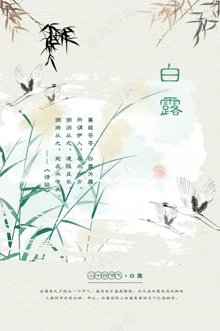 白露节气传统活动海报