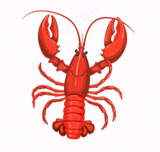 大龙虾海洋海鲜卡通插画免抠