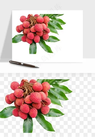 荔枝妃子笑水果png免抠