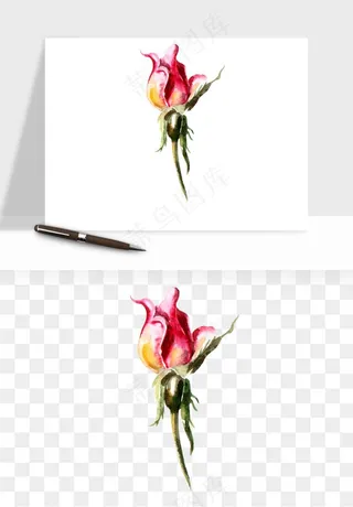 水彩复古花卉png免抠