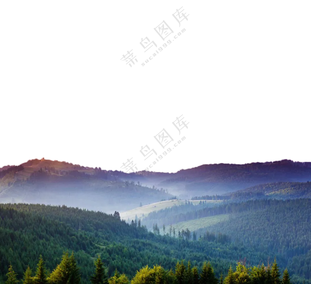 丘陵地貌树木植被风光摄影免抠图片