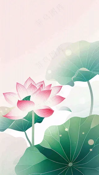 夏天荷花荷叶清凉小清新淡雅立夏夏至暑插画背景