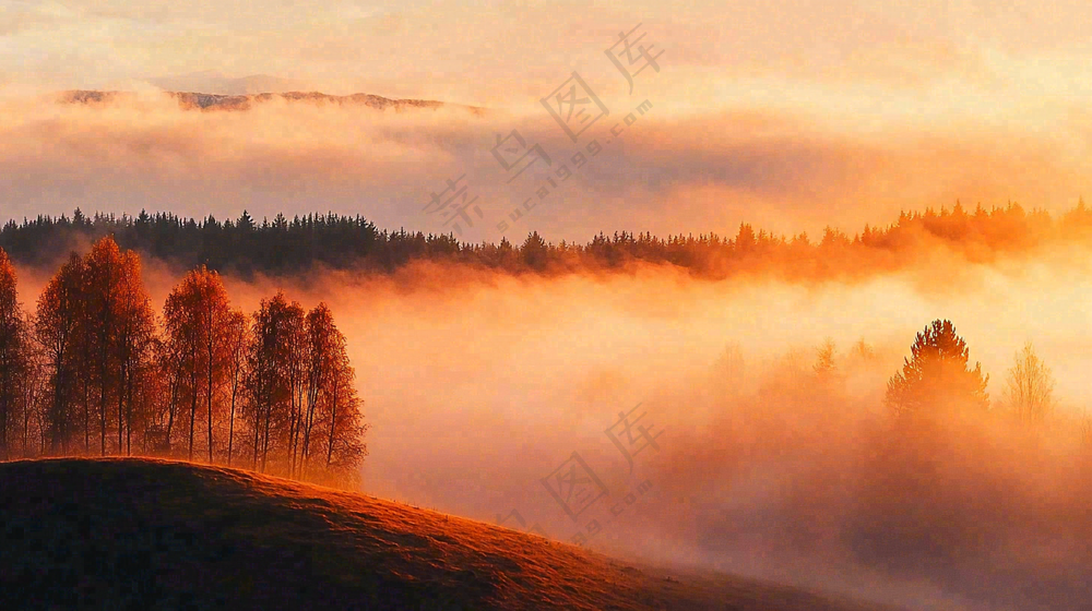 秋天风景夕阳日出云雾森林摄影图